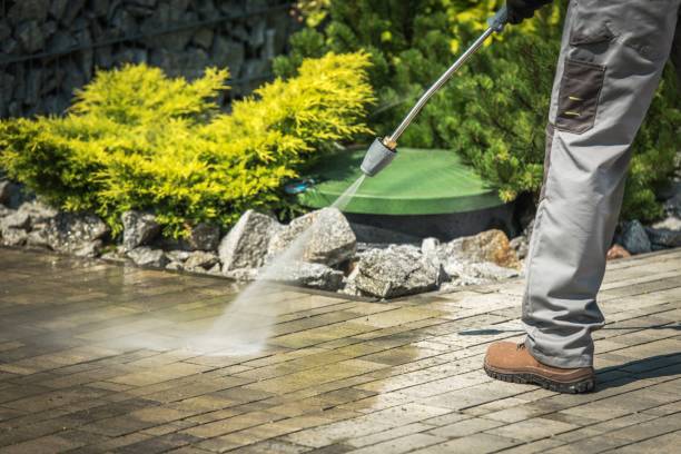 Best Winterizing Services  in Homeland, CA