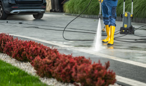 Best Sidewalk and Walkway Cleaning  in Homeland, CA